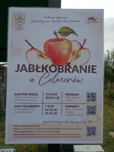 Plakat Jabłkobrania u Celmerów z terminami i odmianami jabłek