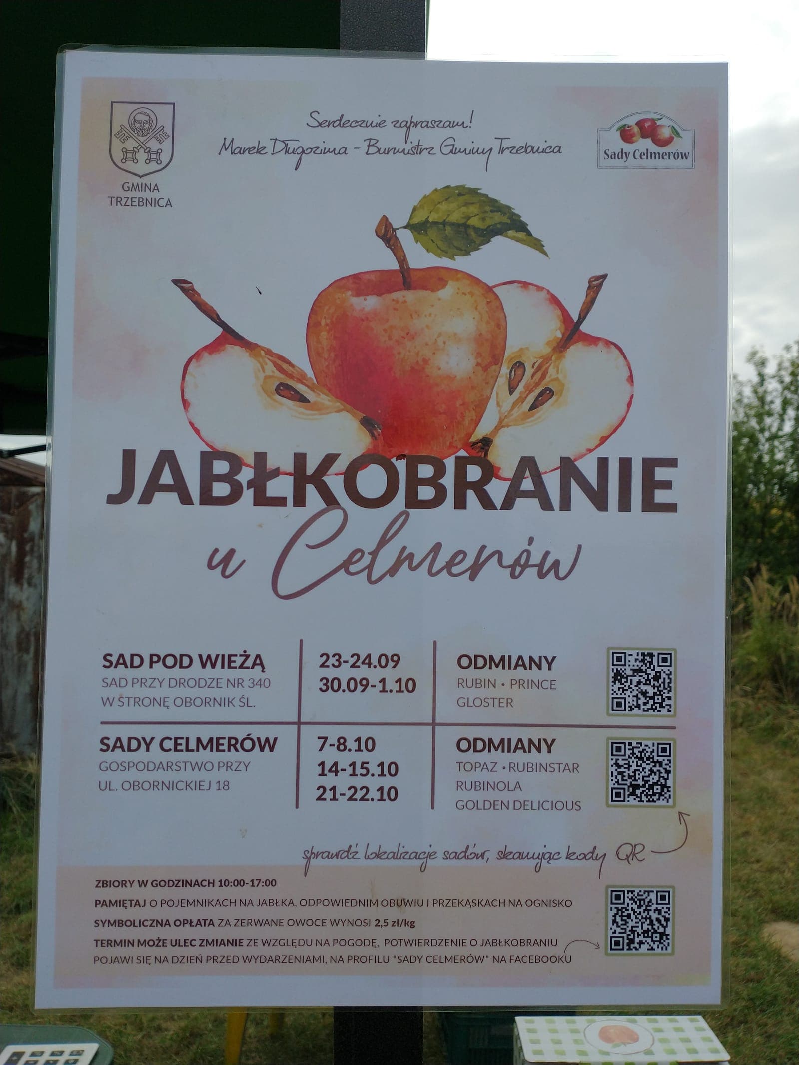 Plakat Jabłkobrania u Celmerów z terminami i odmianami jabłek