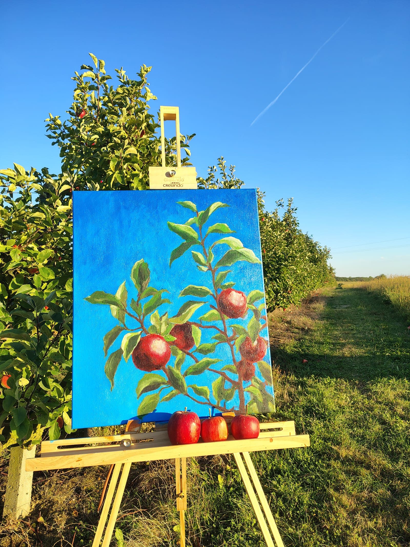 Obraz jabłek na sztaludze — plenerowe malowanie podczas Jabłkobrania