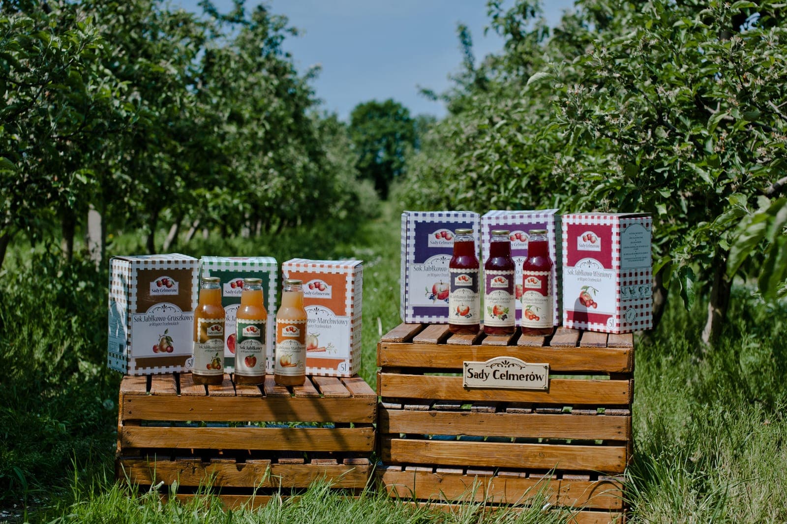 Soki i kartony Sady Celmerów na drewnianych skrzynkach wśród jabłoni