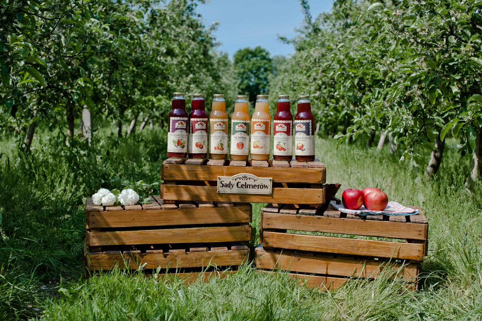 Butelki soków Sady Celmerów z jabłkami na skrzynkach w zielonym sadzie